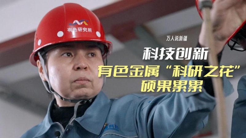 软件测试入门：从基础到实践，掌握测试之道