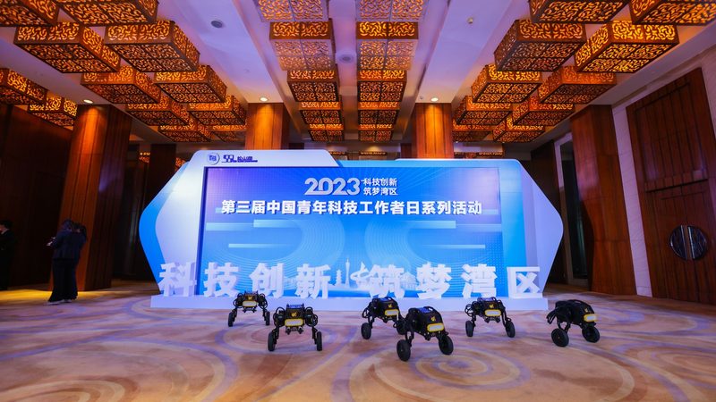 企业数字化安全风险培训课程，筑牢安全防线**